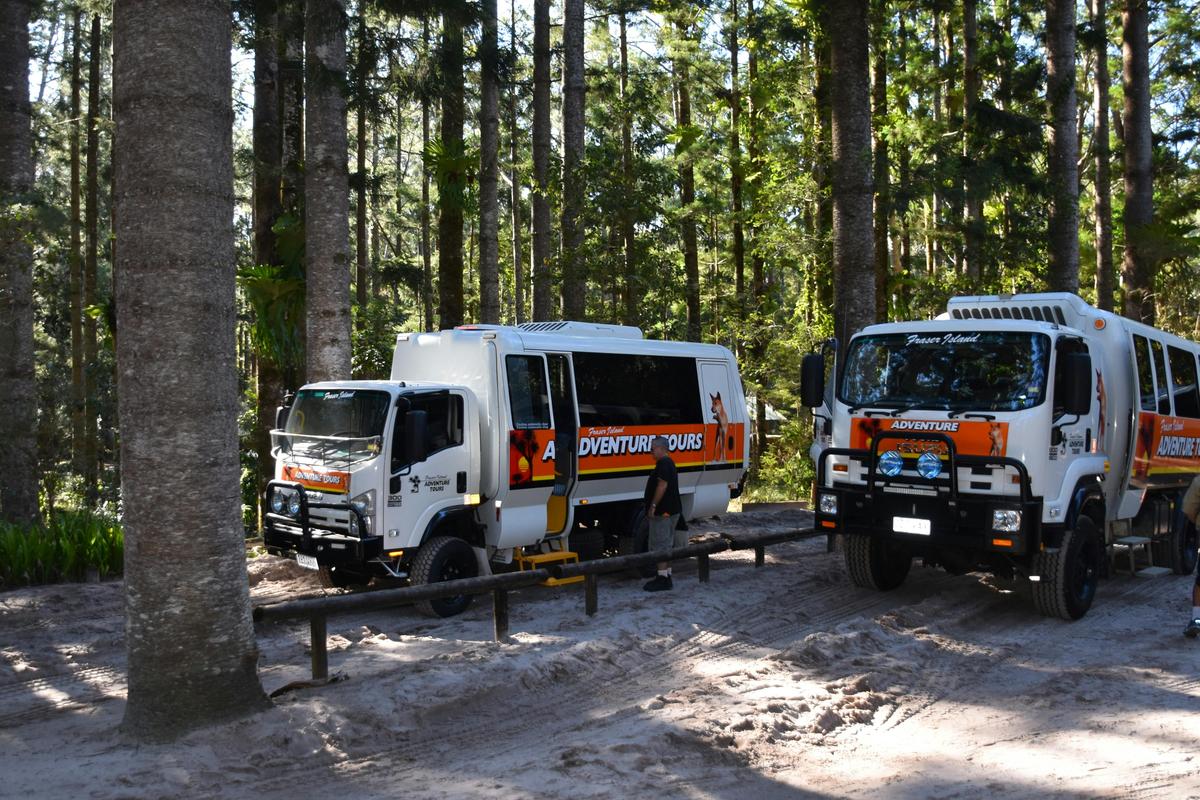 Fraser Island Adventure Tours