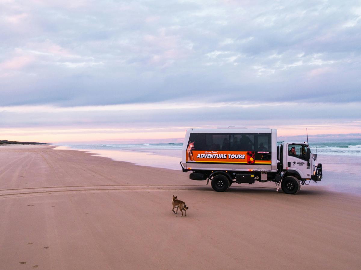 Fraser Island Nature Tours
