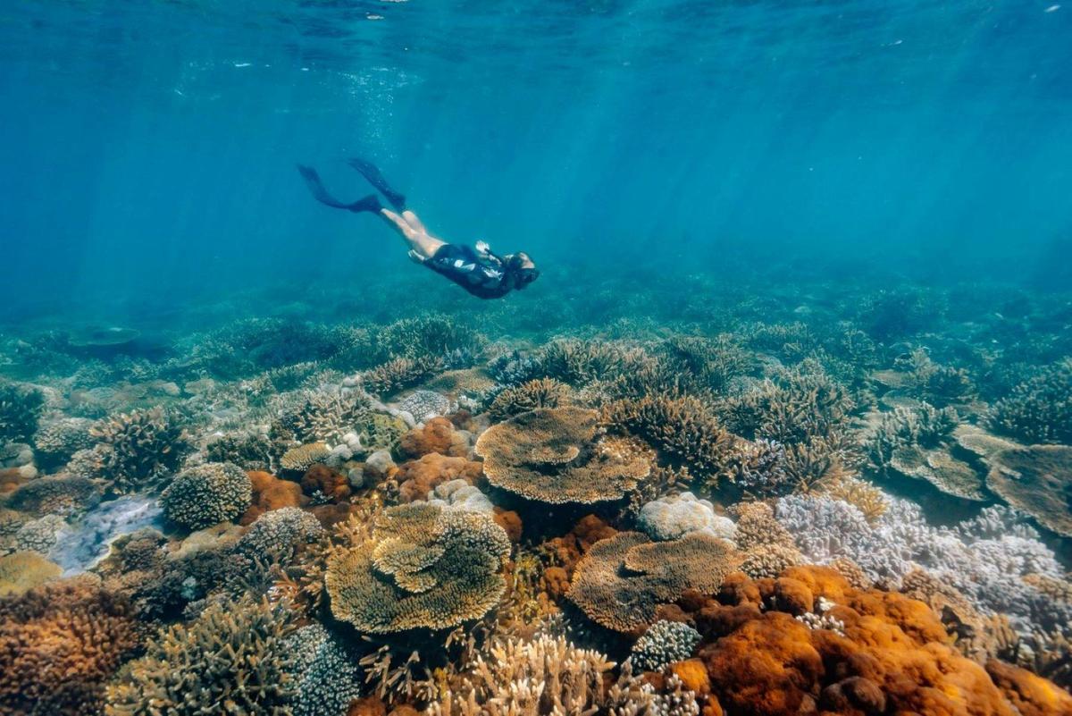 Full Day Keppel Island Cruise & Snorkel