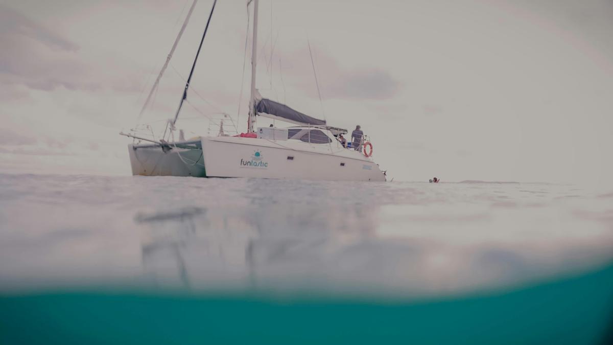 Full Day Keppel Island Cruise & Snorkel