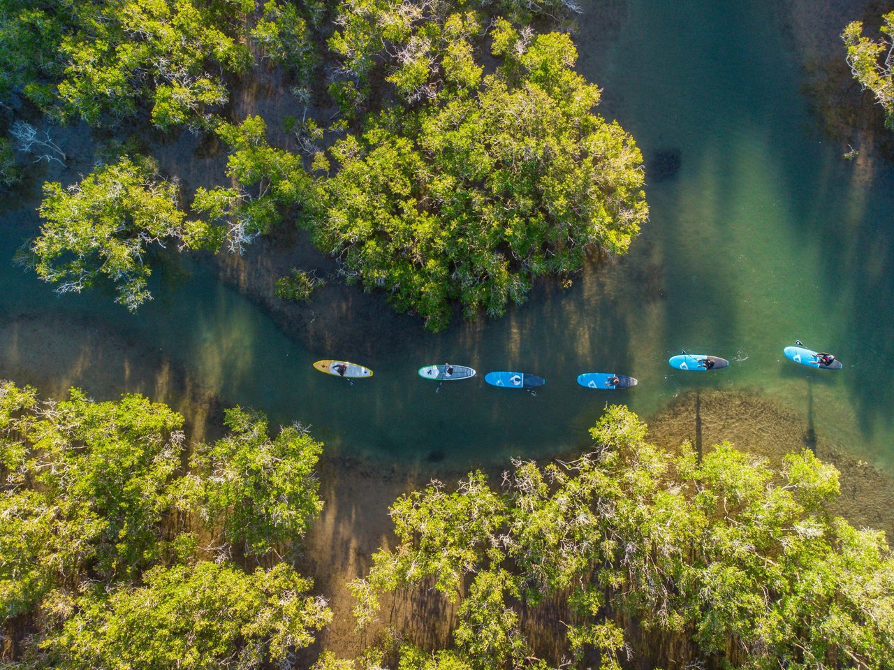 SUP Moonee Creek