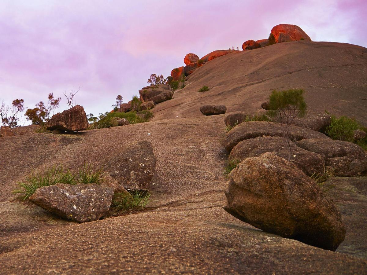 The peak of The Pyramid stands sentinel above Girraween's majestic forests.