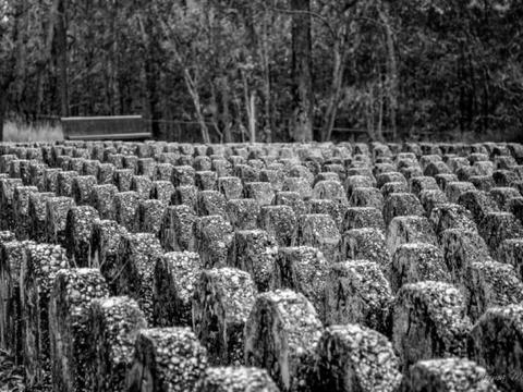 Goodna Cemetery Haunted History Tour