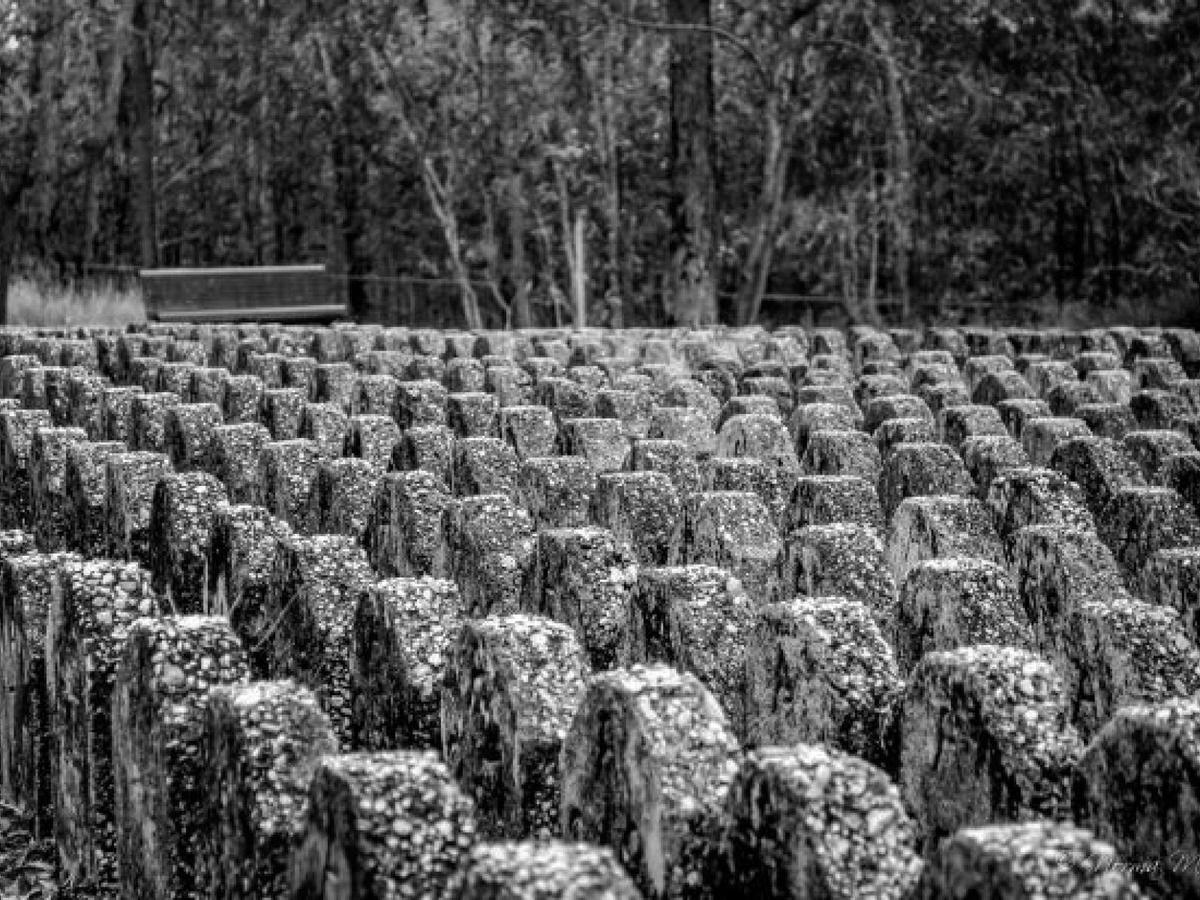 Goodna Cemetery Haunted History Tour