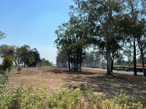 Gin Gin Landcare & Bush Food Garden
