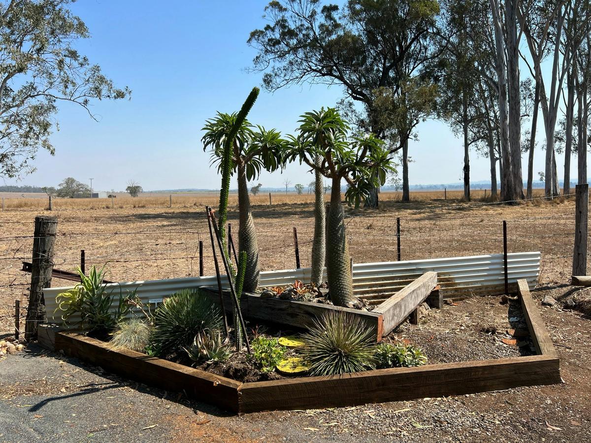 Bush Food Garden