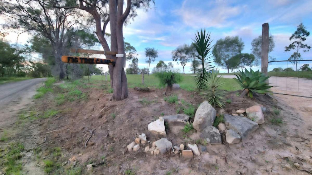 Fig Tree Camp