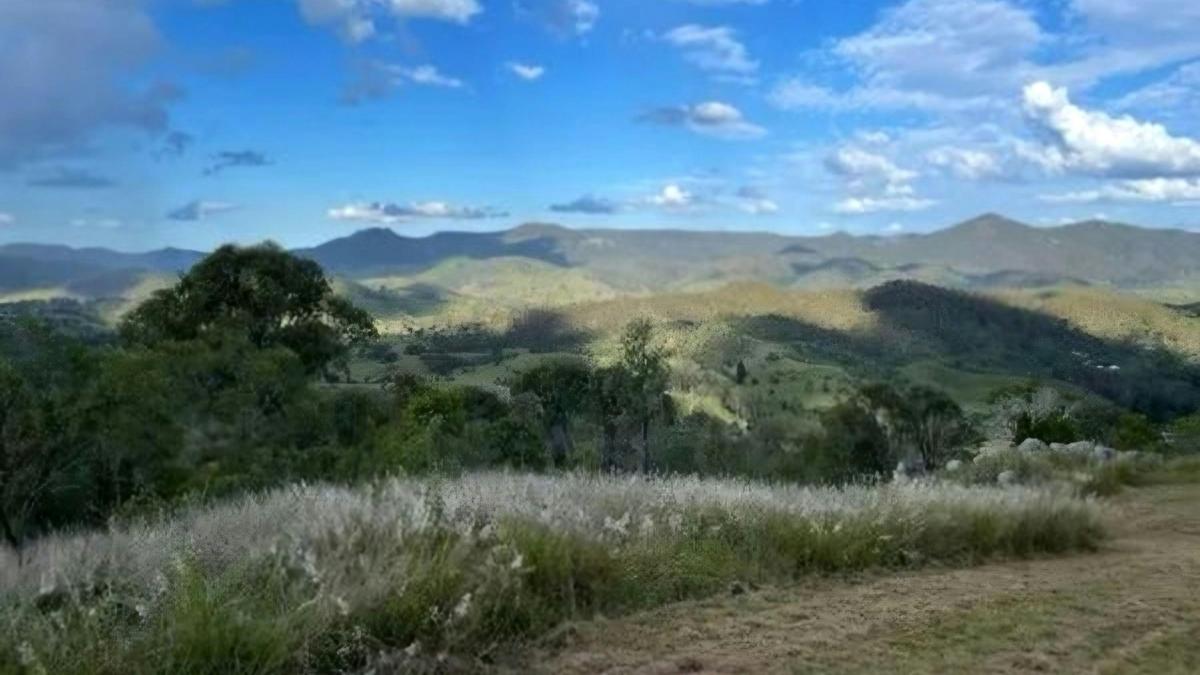 Fig Tree Camp