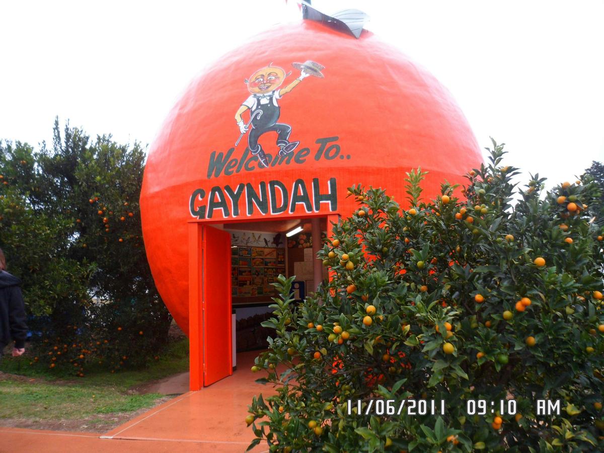 Gayndah's Big Orange
