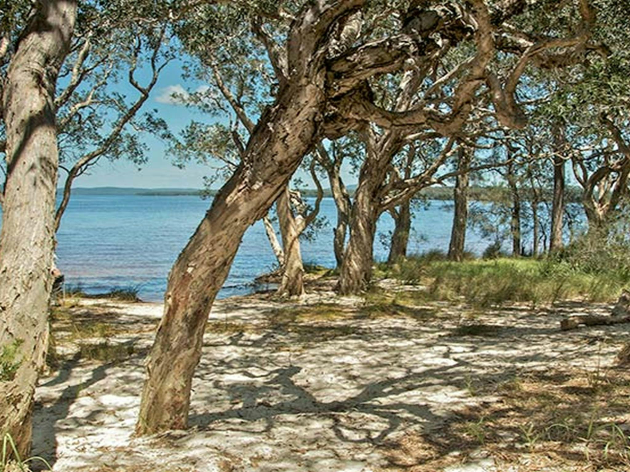 Northern Broadwater picnic area, Myall Lakes National Park. Photo: John Spencer