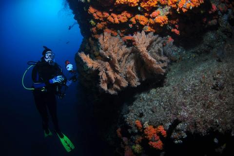 Gotham City Dive Site