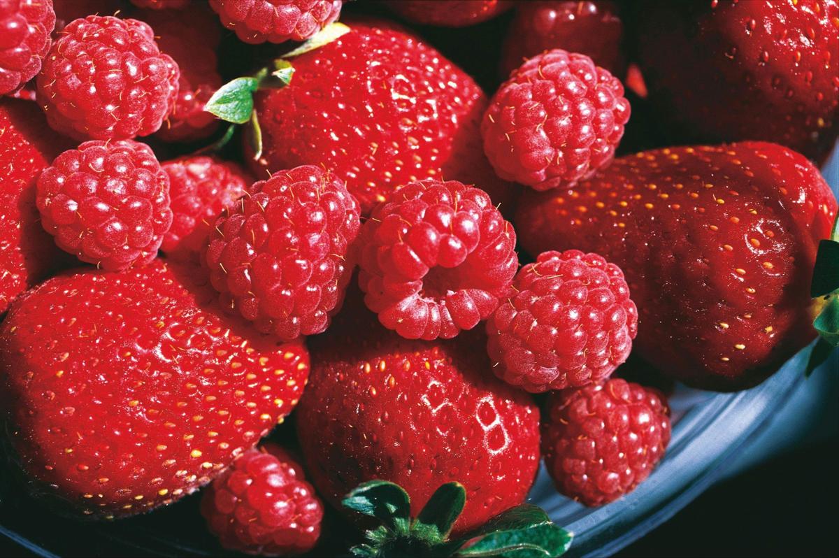 Berries, Granite Belt