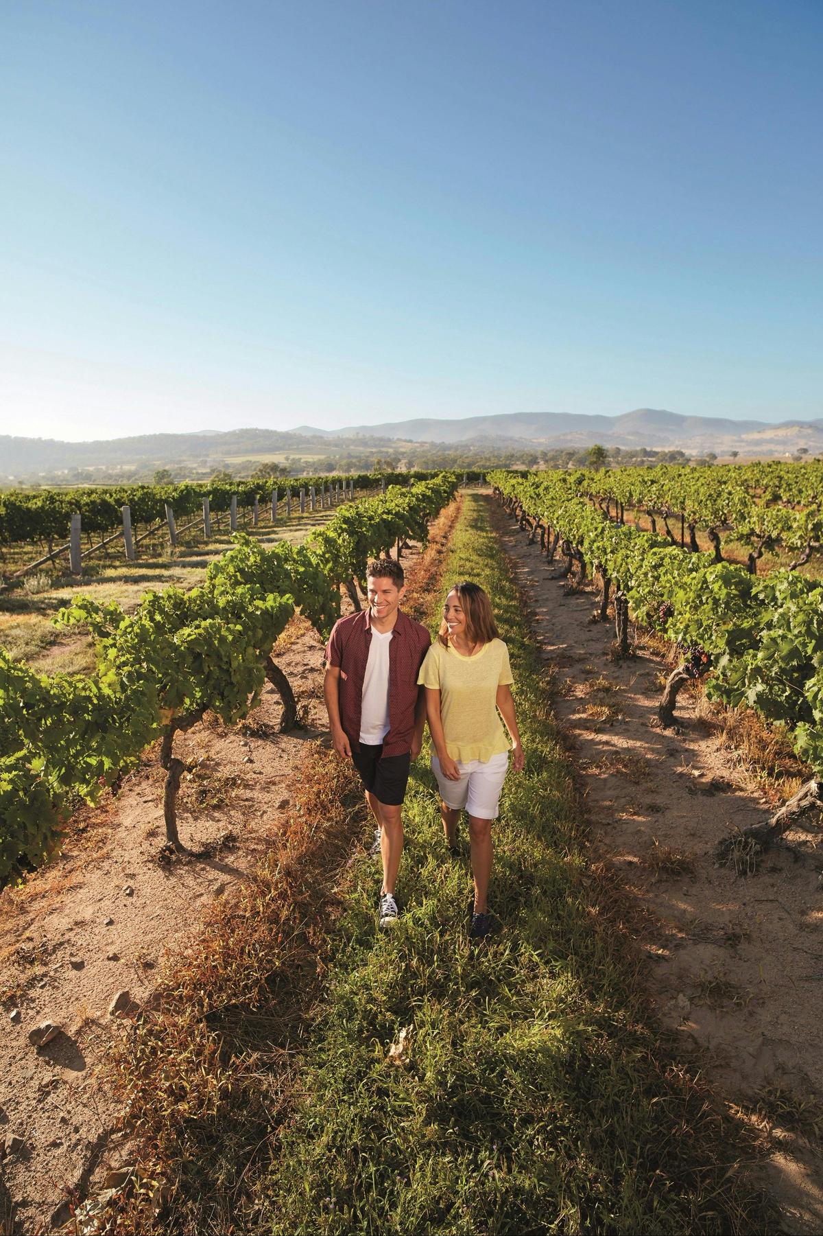 Winery, Granite Belt