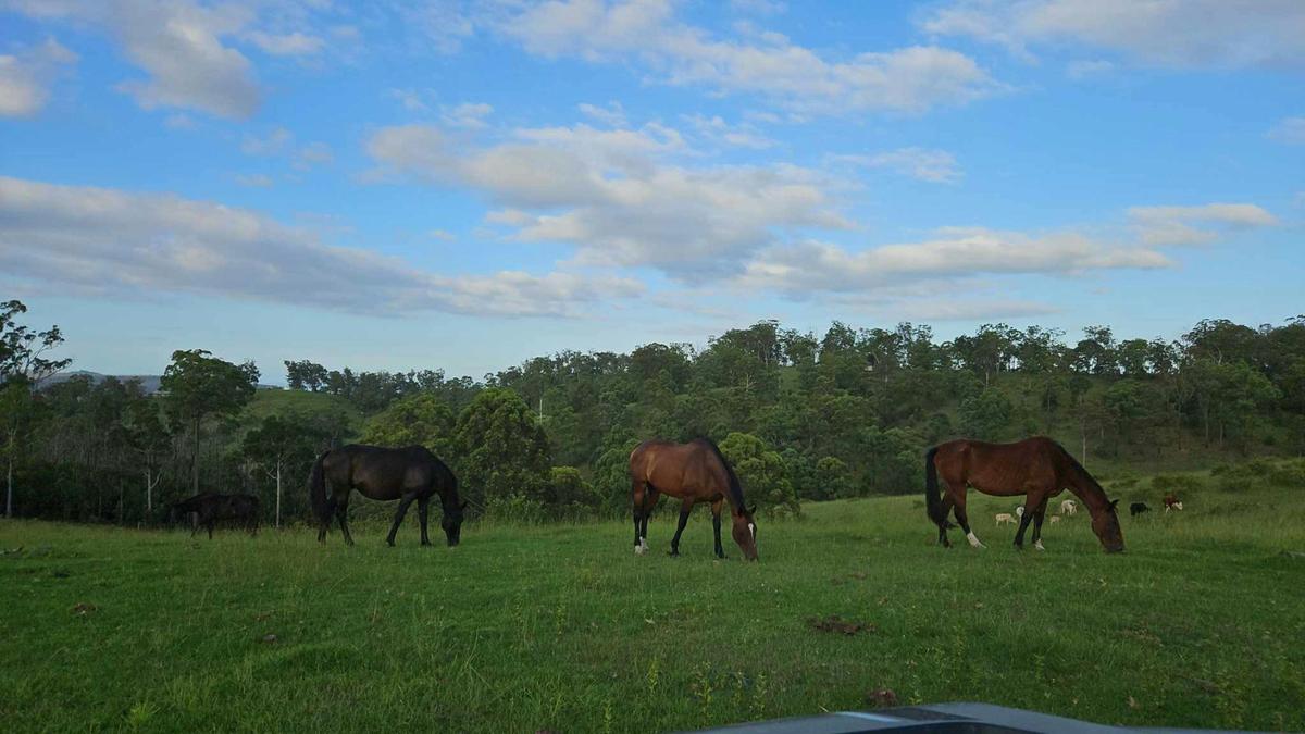 Foothills