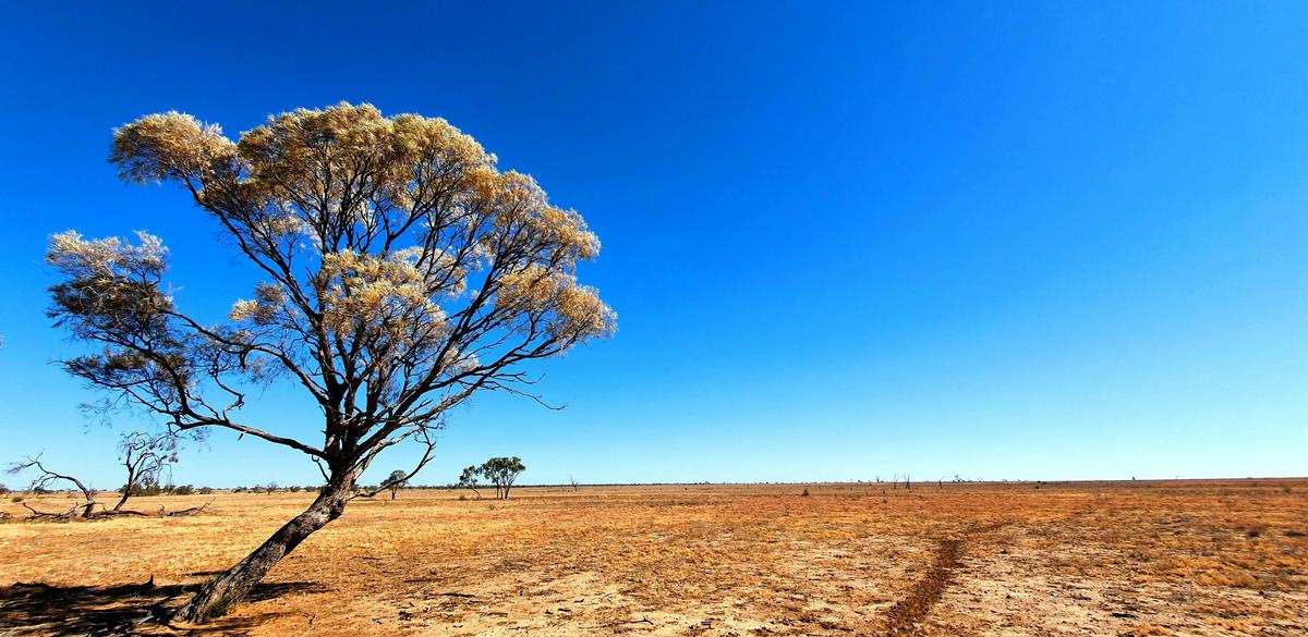 Longreach Town and History Tour