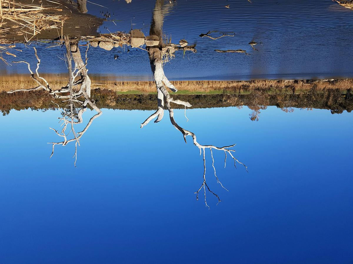 Stunning dams provide recreation opportunities and a home to a variety of birdlife