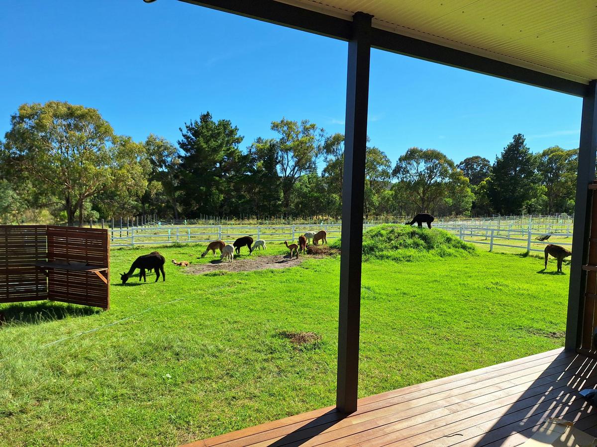 Valley views over the vineyard, and near our famous cellar door, next to Girraween national park