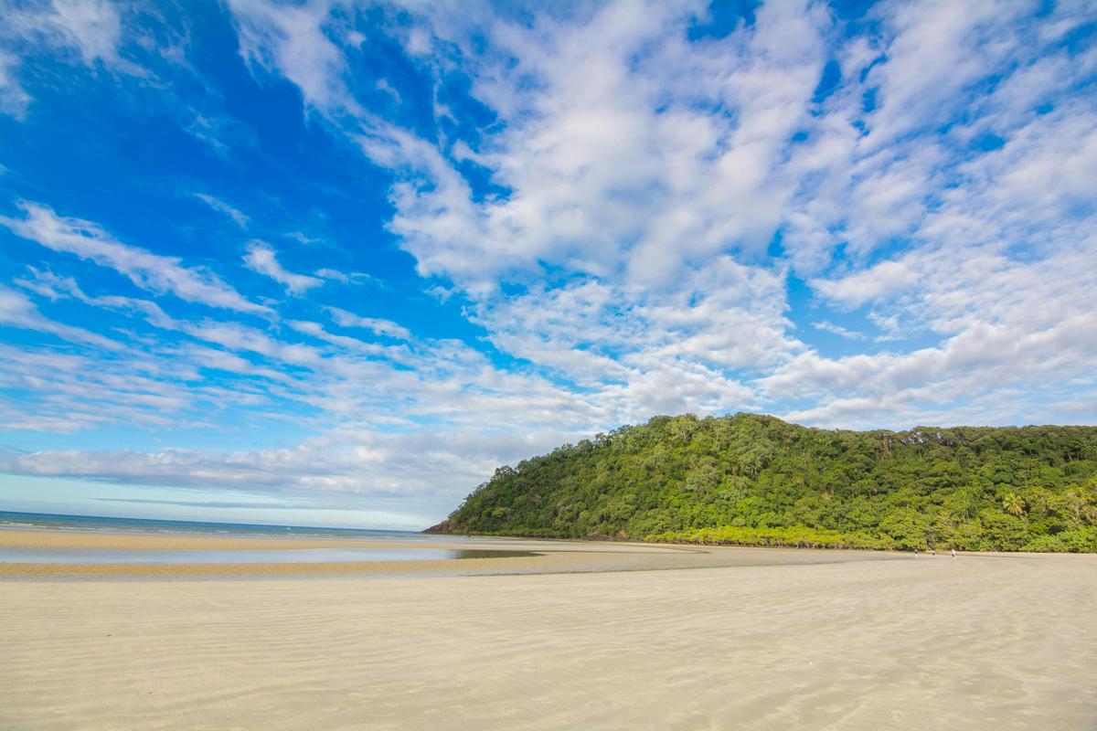 Daintree Afternoon