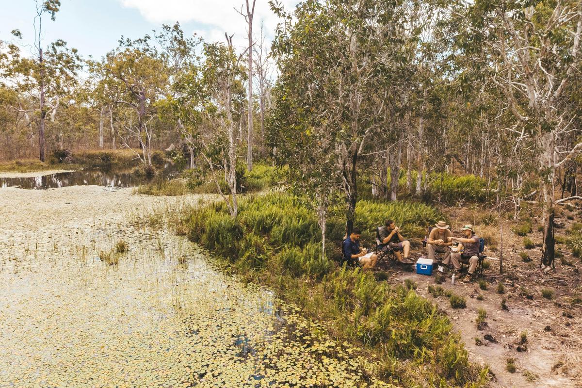Tropical Wetlands Birdwatching