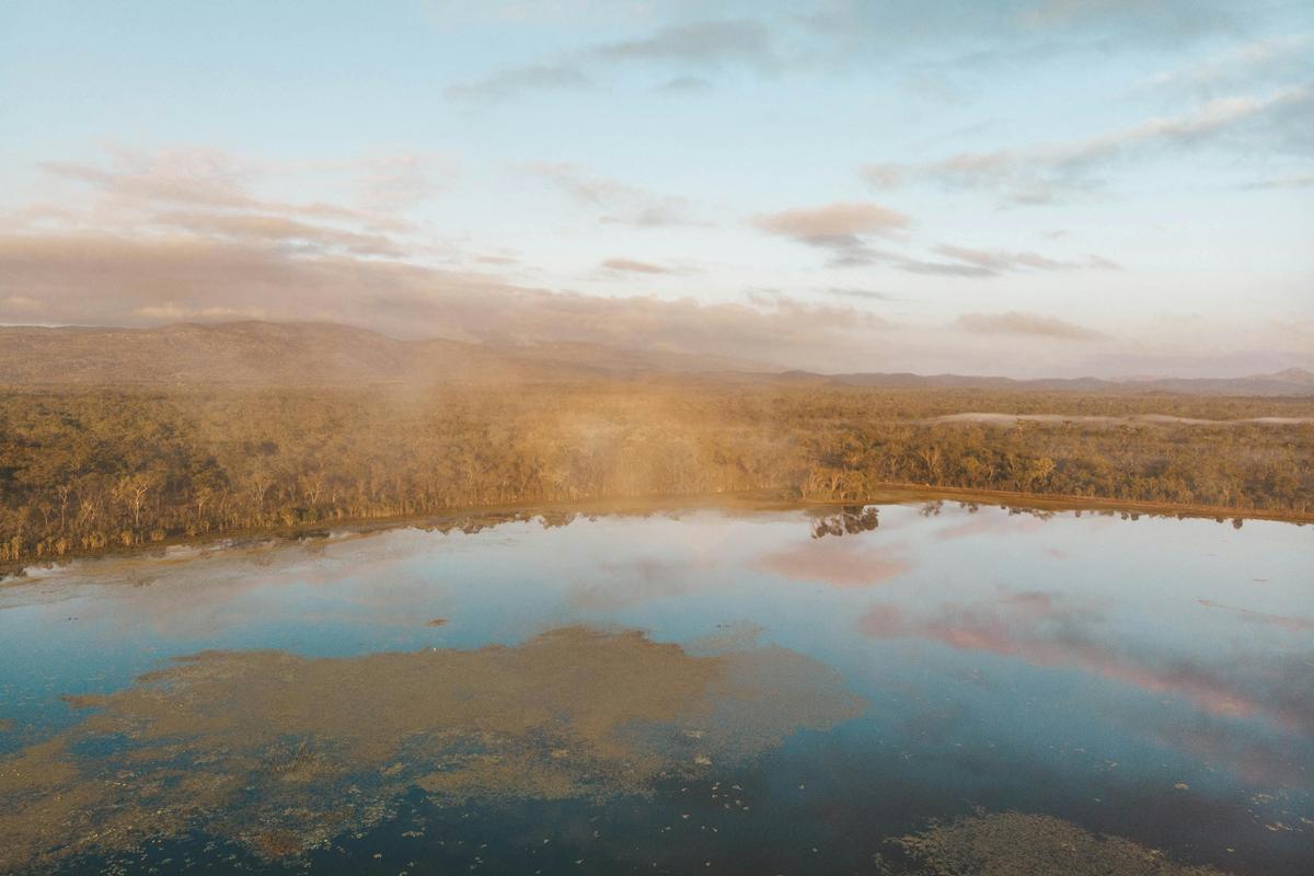 Tropical Wetlands Birdwatching