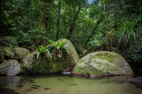 Daintree Exclusive