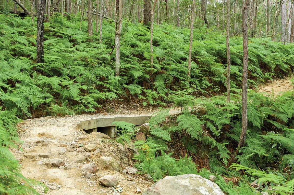 Walking track Mount Ngungun, Glass House Mountains National Park