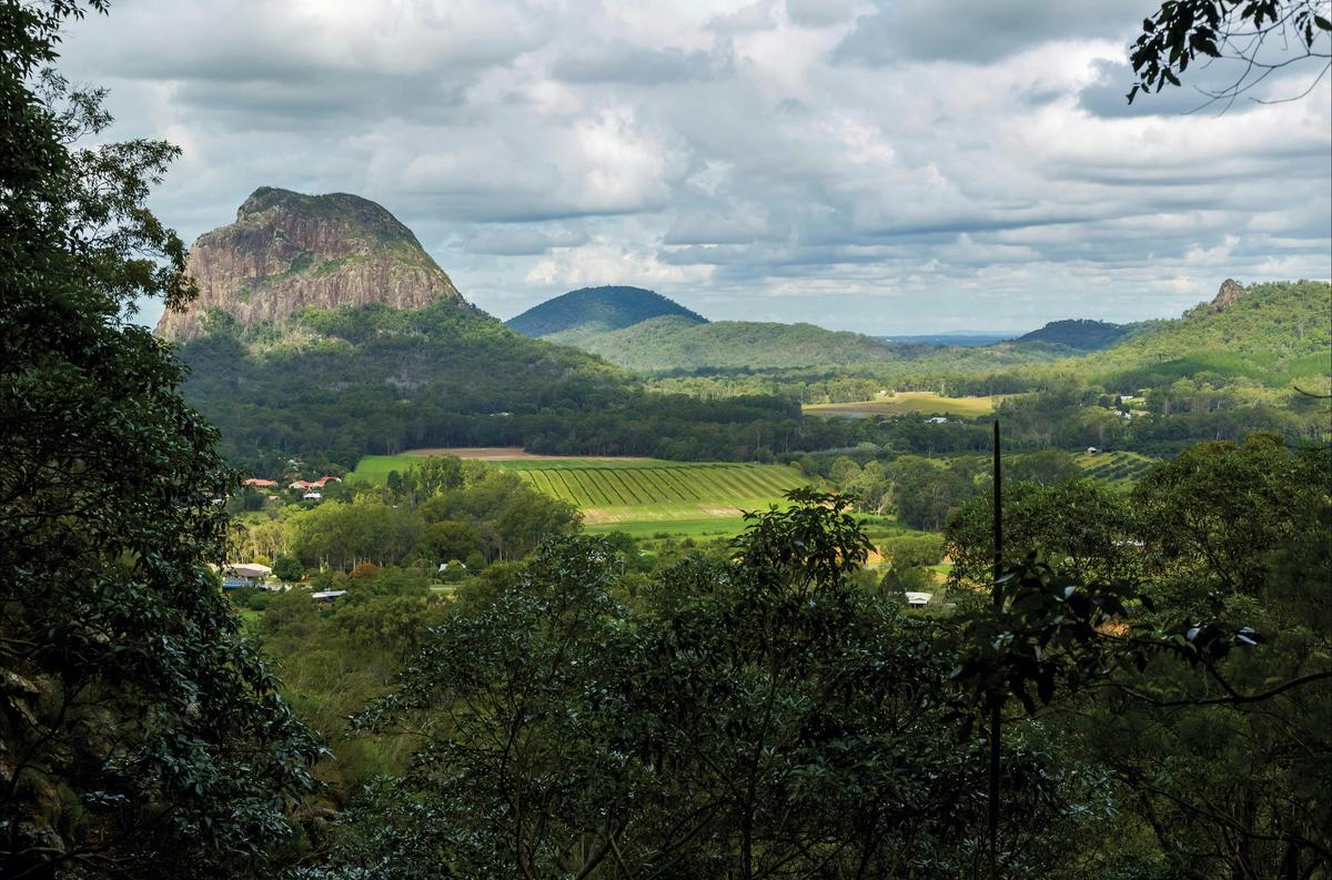 Mt Ngungun, Glass House Mountains National Park