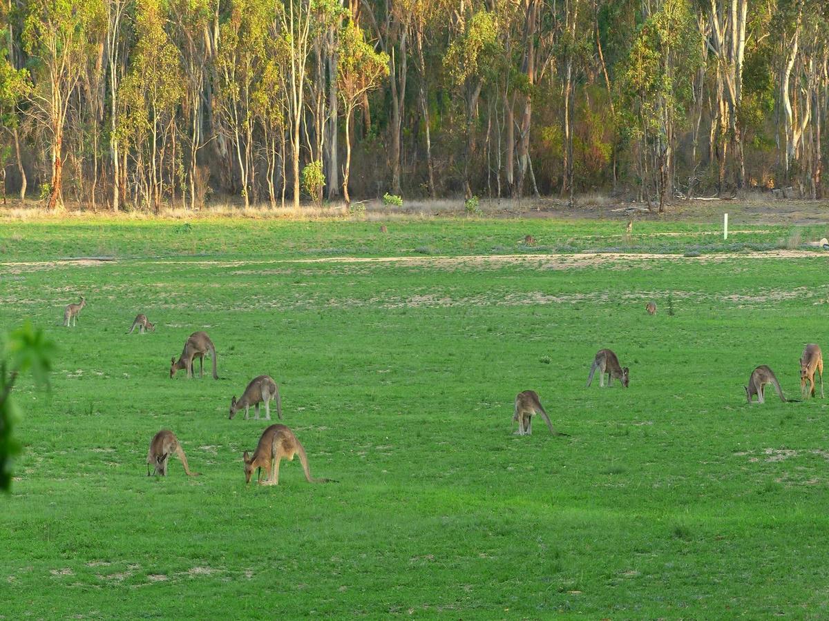 Scenery vast, Peace infinite, Welcomes sincere, Chalets luxury, Kangaroos hundreds, Birds thousands