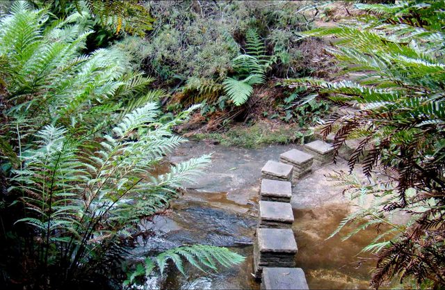 Nature Track, Blue Mountains National Park