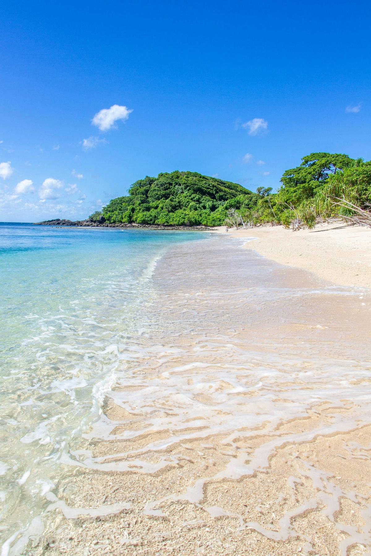 Frankland Islands All Inclusive Day Tour