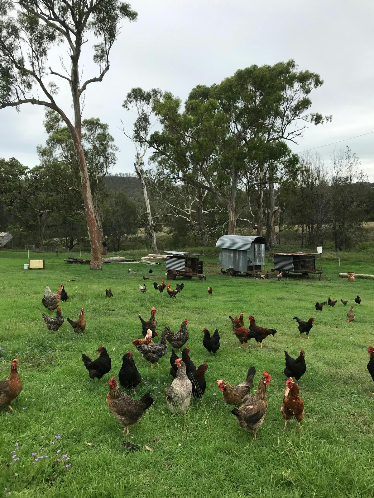 Hayride Farm Tour