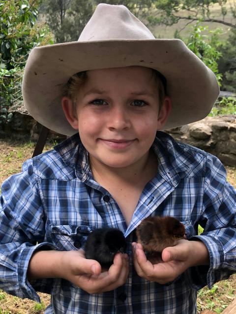 Farm Tour