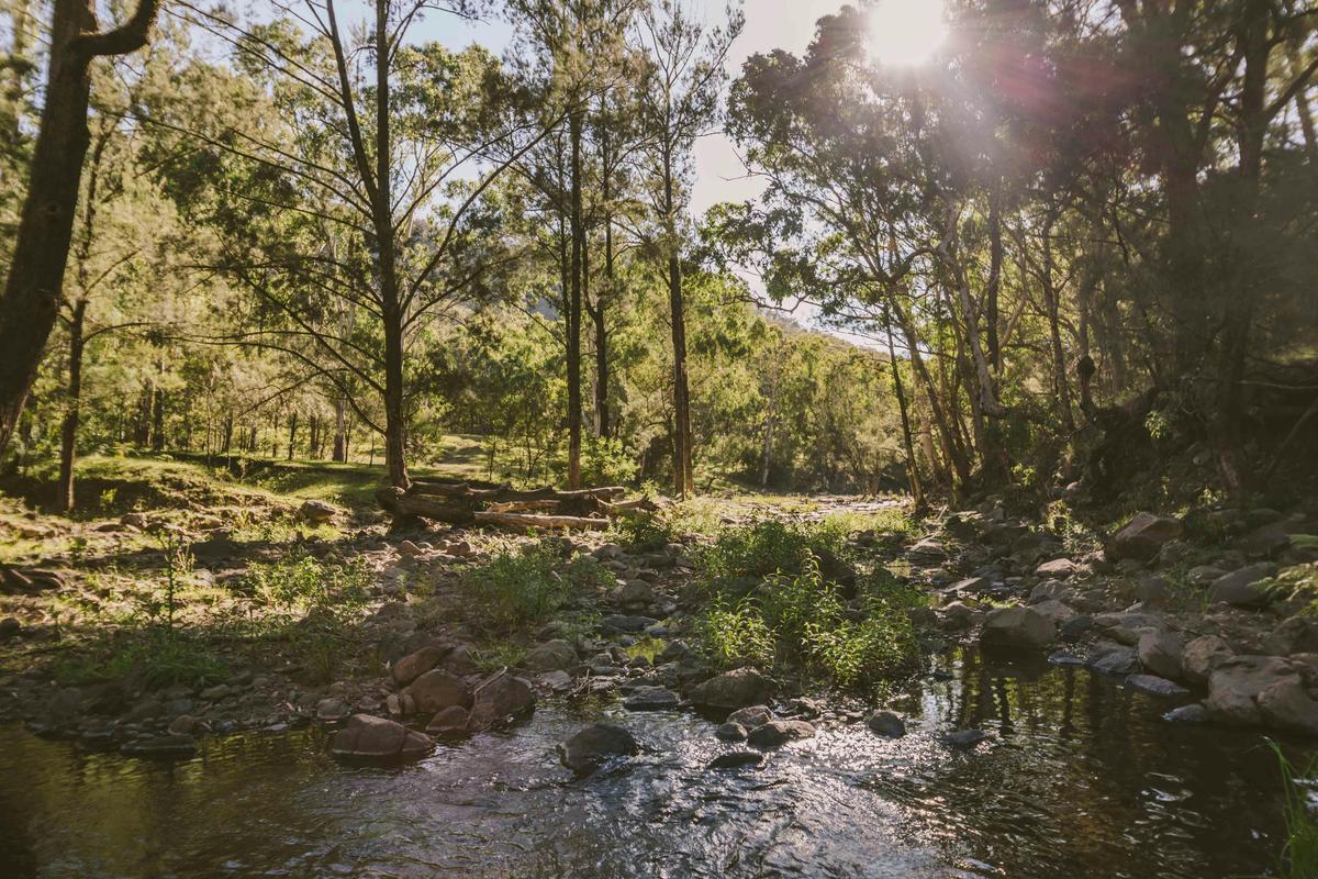 Creekside Camping