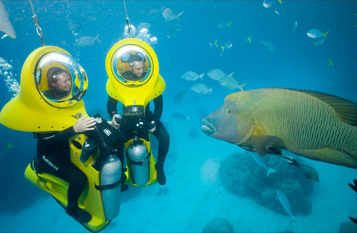 Great Barrier Reef Adventure