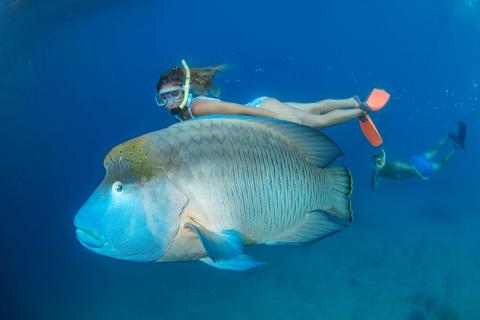 Great Barrier Reef Adventure