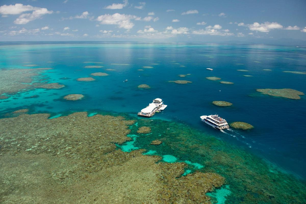 Great Barrier Reef Adventure