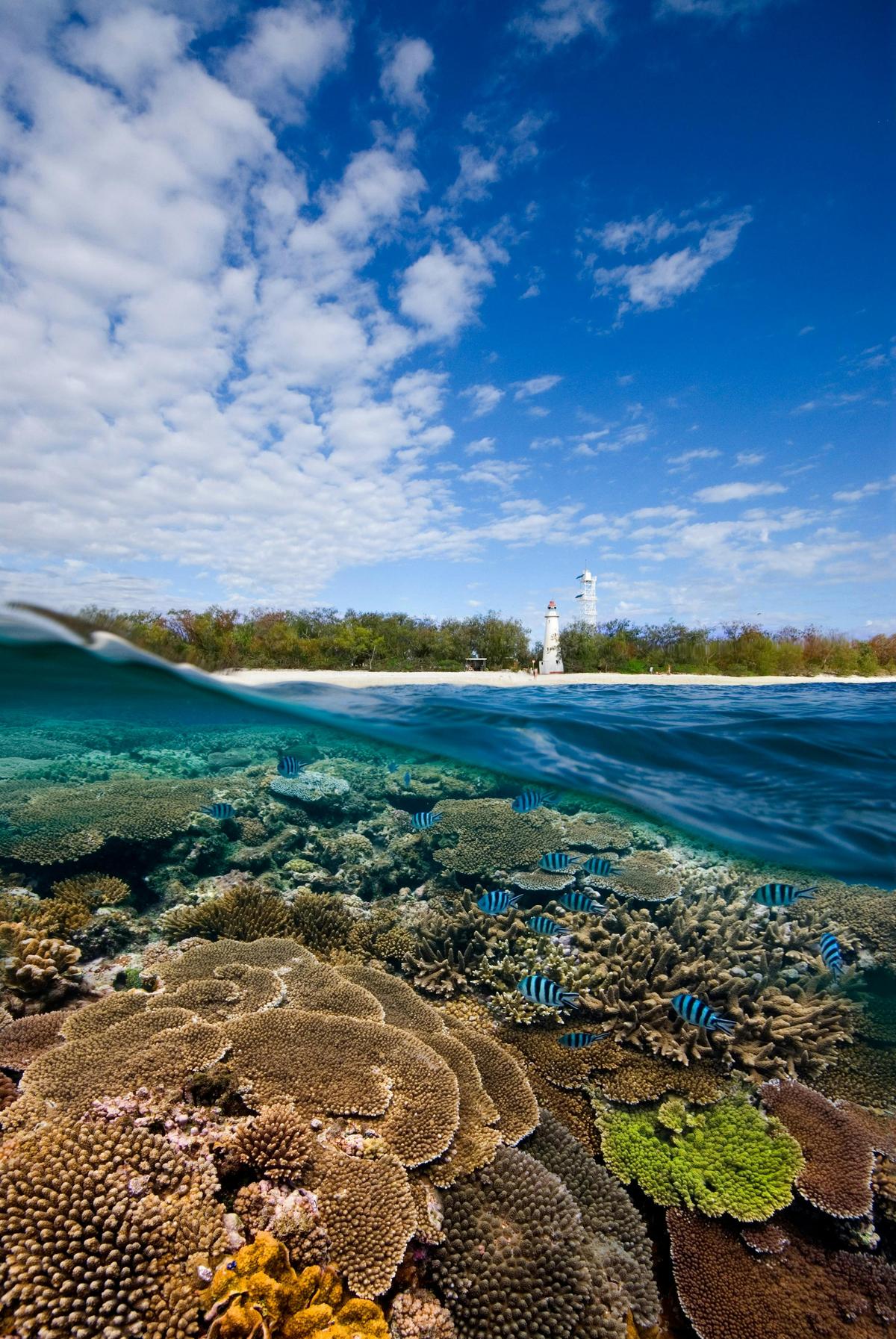 Great Barrier Reef Day Trip ex Bundaberg