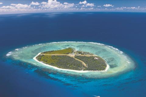 Great Barrier Reef Day Trip to Lady Elliot Island - Hervey Bay  & Bundaberg
