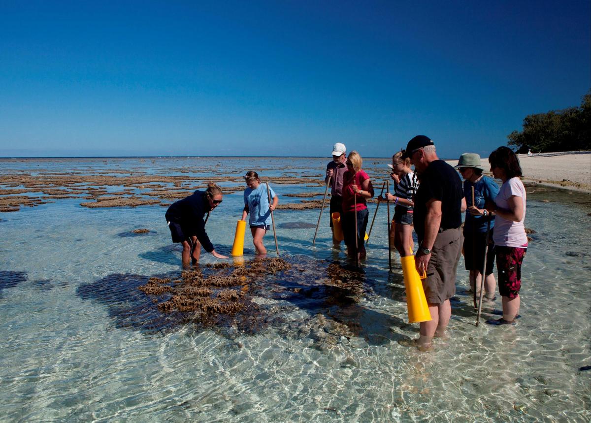 Great Barrier Reef Day Trip ex Hervey Bay/Fraser Coast