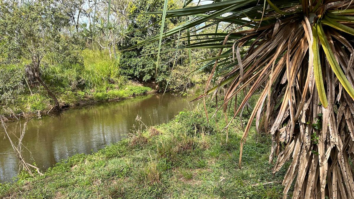 Goanna Gully
