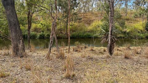 Goanna Gully