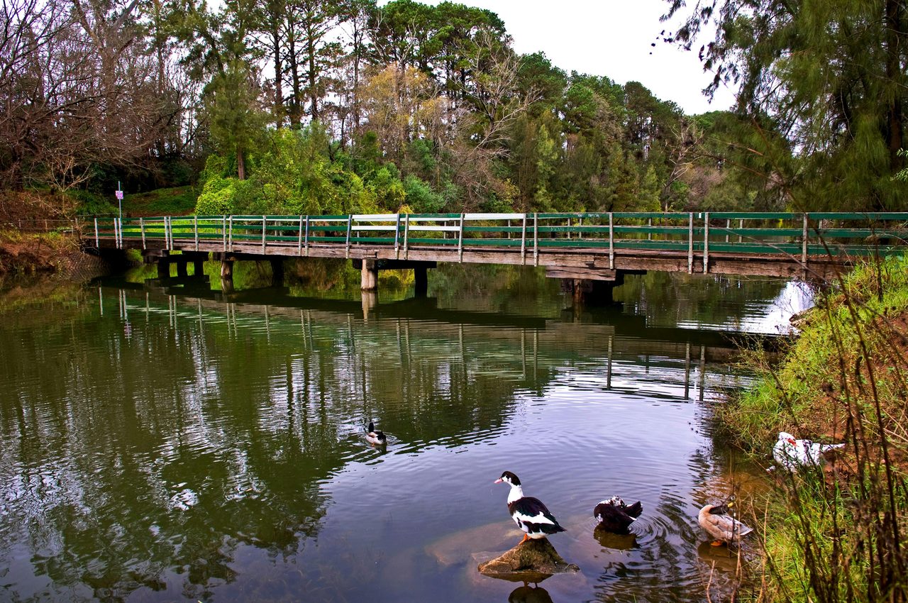 Nepean River