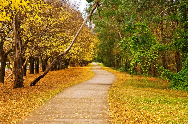 Nepean River Cycleway