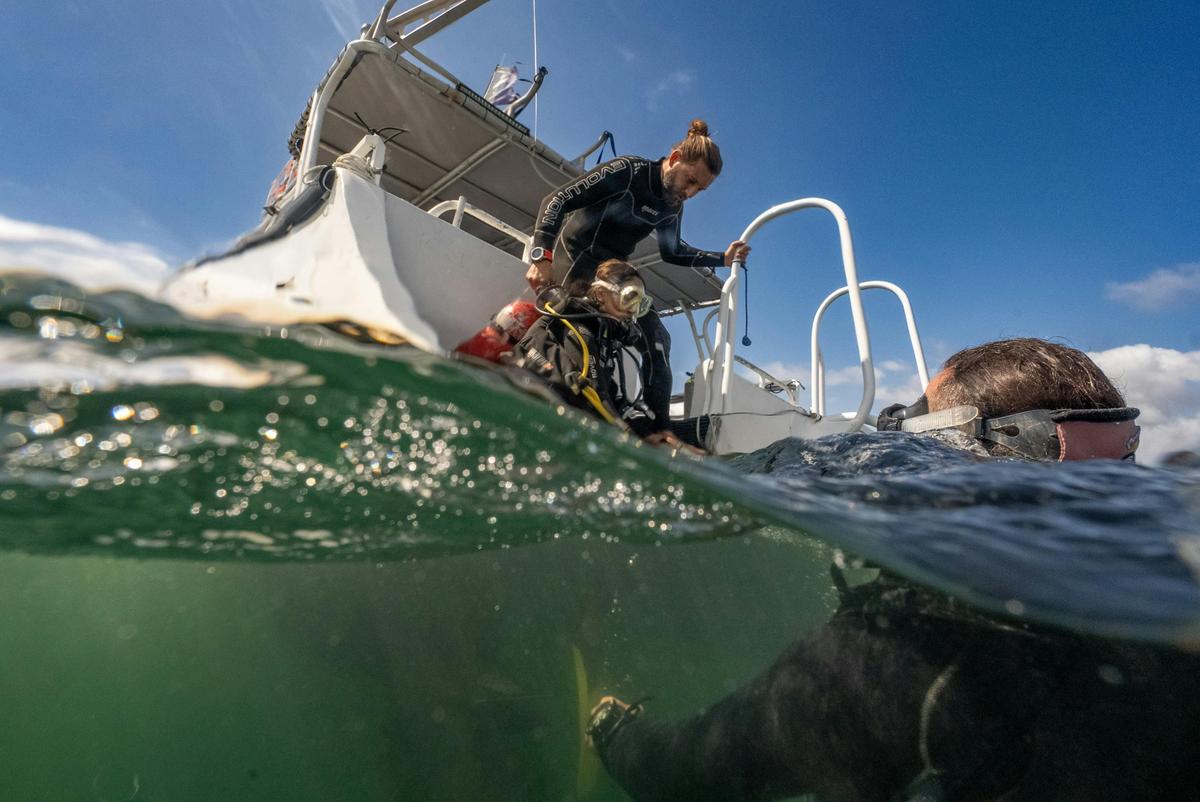 Discover Scuba Diving