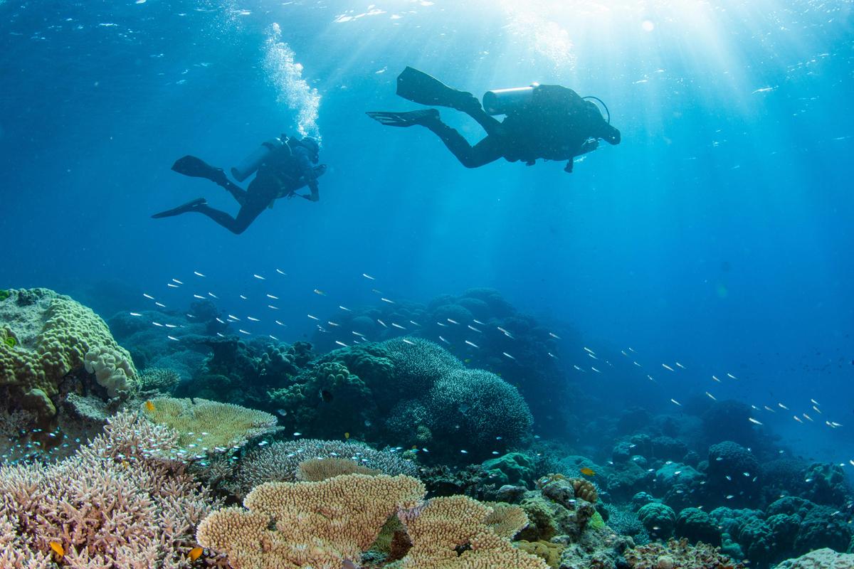 Discover Scuba Diving