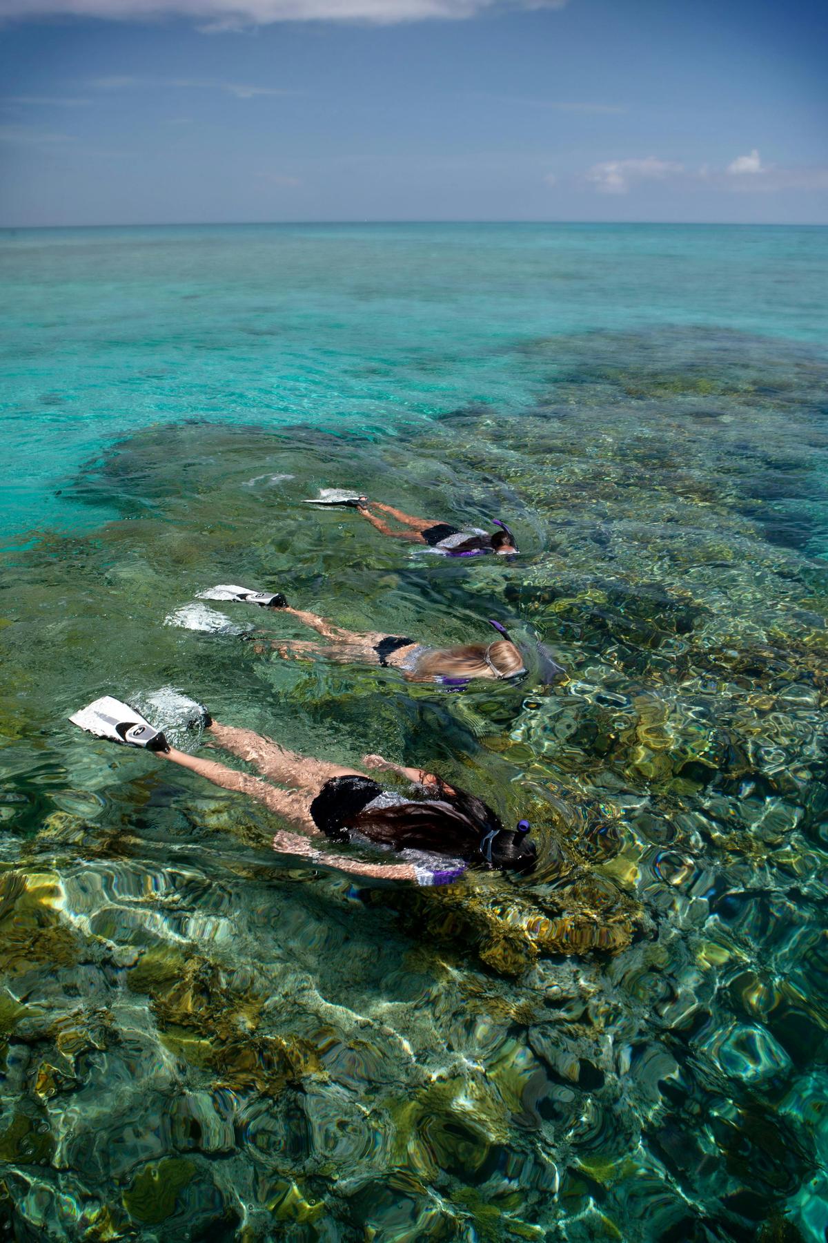 Snorkeling with the fish