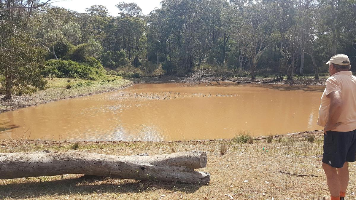 Happy Valley, Neuve Qld