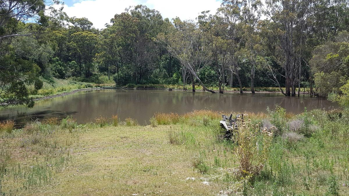 Happy Valley, Neuve Qld