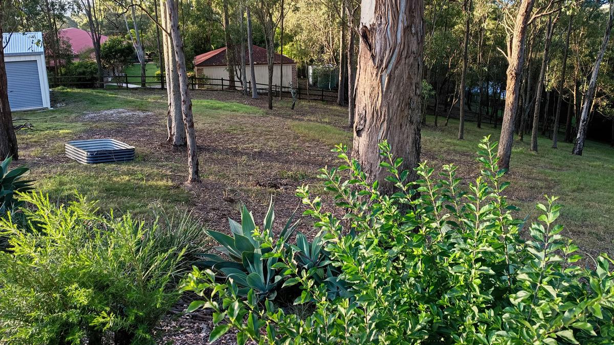Glen Osmond