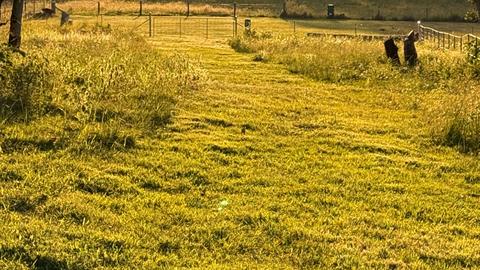 Greens Creek Country Stay